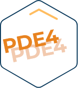 PDE4 enzyme
